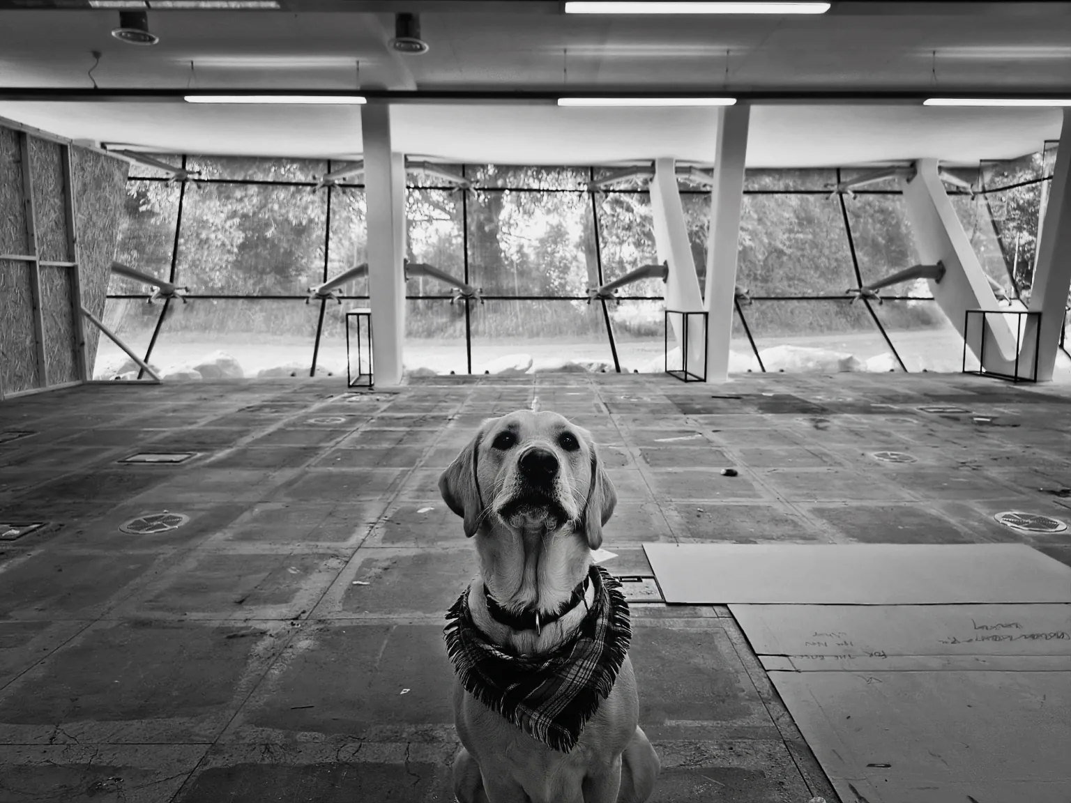 The open-plan space at Studio BRUT, designed around accessibility
