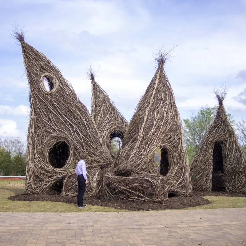 Woven willow sapling sculpture by Patrick Dougherty