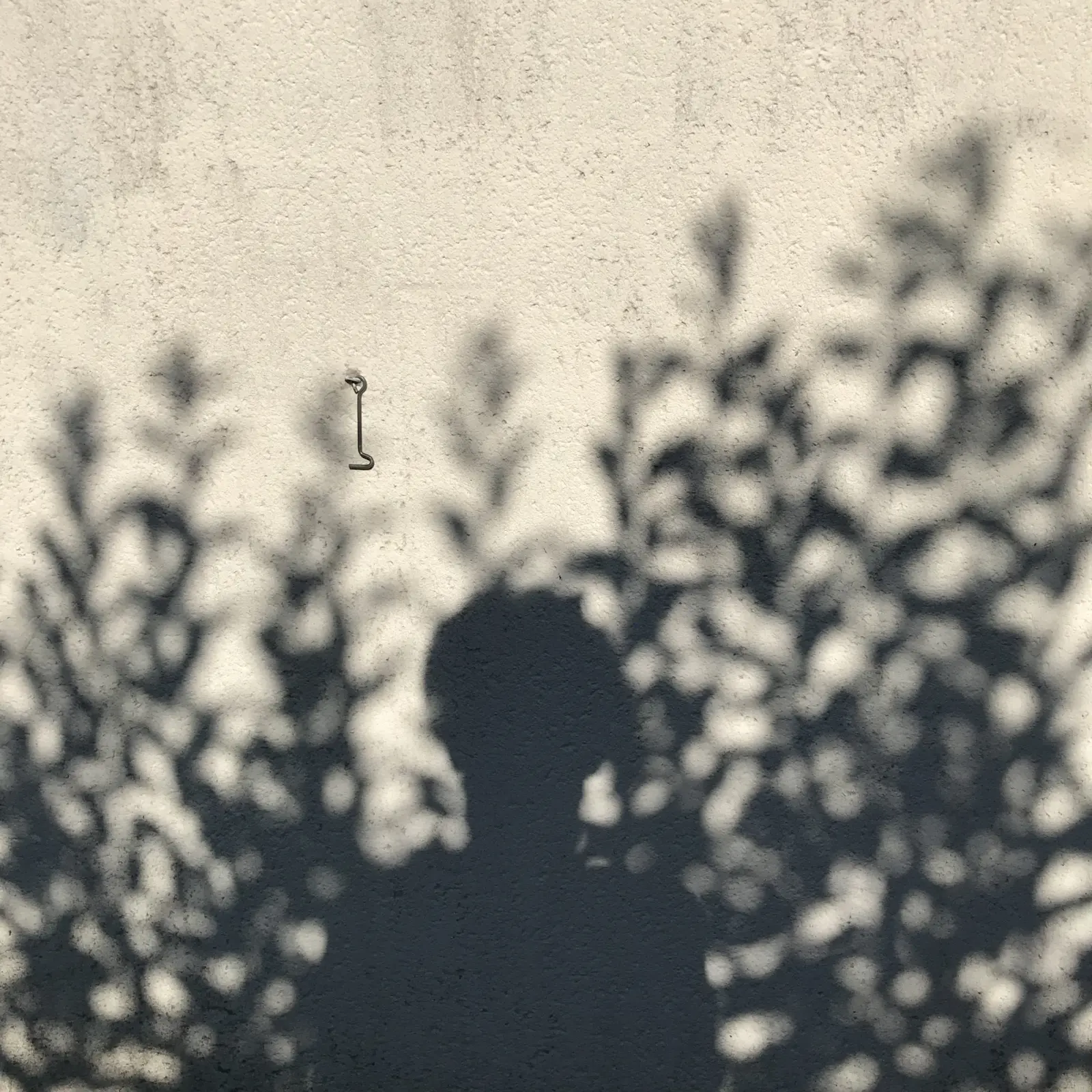 Chris Eley