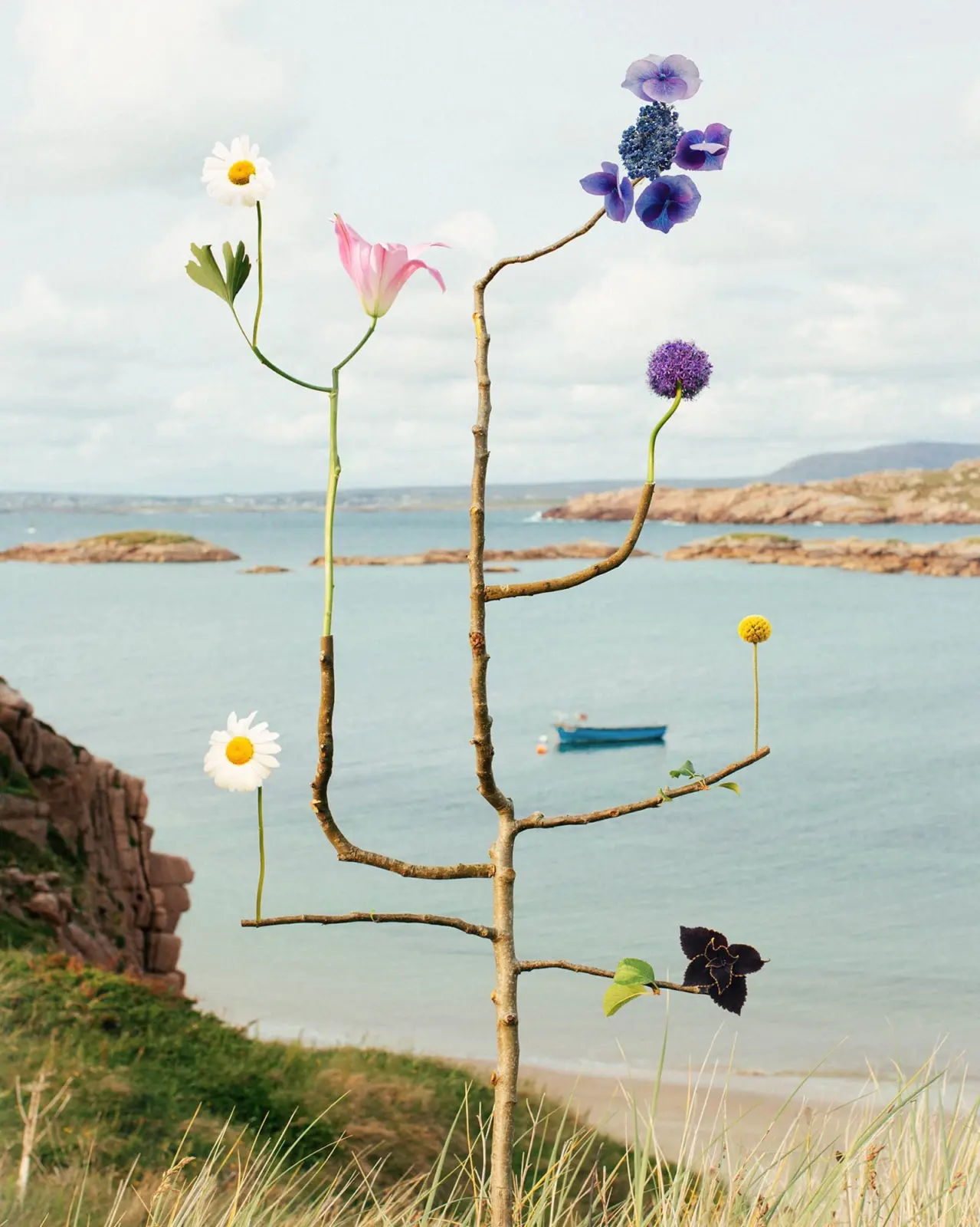 Jennifer Latour Preserves Ephemeral Beauty in Her Otherworldly Botanical Assemblages